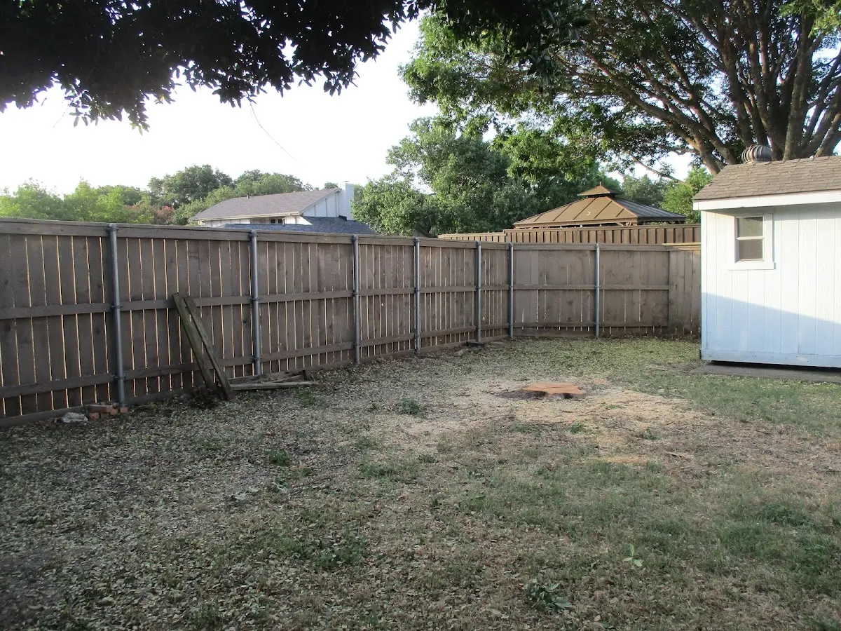 Cleared yard after professional tree removal in Maurertown